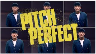 Pitch Perfect Bellas Regionals  The Sign Cover [upl. by Billi238]