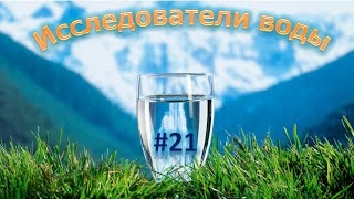 Исследователи воды Выпуск №21 Черноголовка Бэйби [upl. by Cam809]