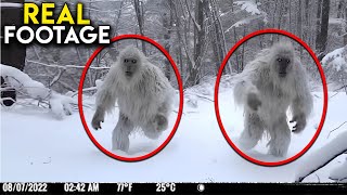 TERRIFYING Trail Camera You Need to See [upl. by Thora]