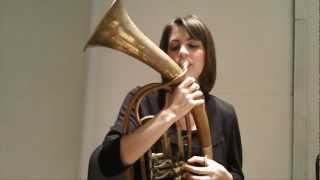 Classical Spotlight Wagner Tuba [upl. by Jillie976]