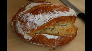 Pane fatto in casa con 1 g di lievito a lunga lievitazione [upl. by Bellina499]