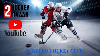 OCKELBO HOCKEY CLUB SK IRON [upl. by Araes897]