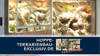 2 Terrarien für Bartagamen mit Durchgang [upl. by Nicolis118]