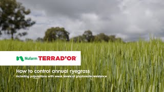 Terrador  How to control annual ryegrass  Nufarm [upl. by Ettenwad]