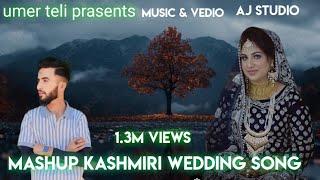 new kashmiri mashup song  umer teli [upl. by Occer]