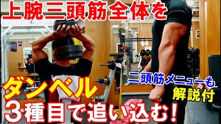 【筋トレ】ダンベル3種目で上腕三頭筋全体を鍛える！ダンベルだけの腕のトレーニングメニュー【解説付】 [upl. by Ammadas]