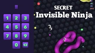 Slitherio INVISIBLE NINJA RELEASE 100 WORK and New Secret Code Epic slitherio GamePlay [upl. by Hennessy677]