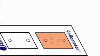 How to Perform a DualFluorescent AOPI Assay  Instructional Video [upl. by Wollis]