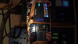 Dave Smith Tempest Hard Techno Test [upl. by Netsrik]