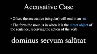 The Nominative and Accusative Cases [upl. by Ranita203]