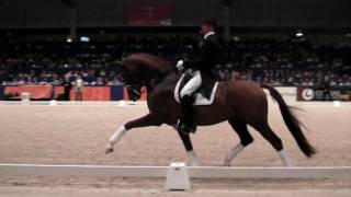 Vivaldi 2010 Stallion Show Part 1 of 4 [upl. by Sipple]