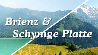 Switzerland  Brienz amp Schynige Platte  Part 2 [upl. by Duleba746]