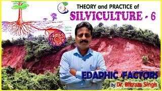 Silviculture  6 Locality  Edaphic Factor by Dr Bikram Singh [upl. by Smith]