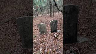 Fisher trapping and old graves [upl. by Demetrius]