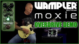 WAMPLER MOXIE OVERDRIVE  THE GREEN SCREAMER WITH EXTRA ATTITUDE [upl. by Edette832]