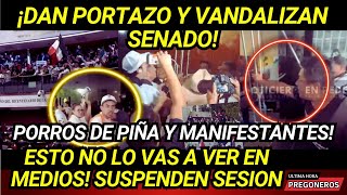 ¡DAN PORTAZO Y PORROS ENVIADOS DE NORMA PIÑA VANDALIZAN SENADO SUSPENDEN SESION AQUI LAS IMÁGENES [upl. by Ignacio]