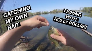 FISHING WITH ROLLY POLLIES CATCHING MY OWN BAIT [upl. by Annaynek]