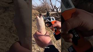 Electric pruner not cut your skin 😯 [upl. by Anselm]