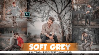 Lightroom Mobile Soft Grey Presets  Free Lightroom Mobile Presets Dng  Lr Free Presets Download [upl. by Ynnod]