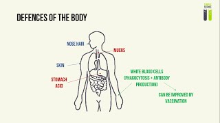 IGCSE Biology Revision  Part 12  Pathogens Transmissible Diseases amp Preventing Its Spread [upl. by Leterg]