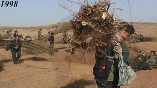 Inner Mongolia Greening Desert Project [upl. by Nicholas]