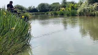 Golden Reel Qualifier  Partridge Lakes  Covey 5 peg 107 [upl. by Peggir506]