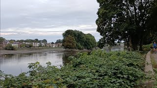 River Thames southside walk Putney bridge to Kew London [upl. by Akitan]