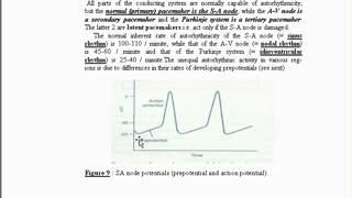 6 automaticity amp rhythmicity [upl. by Moureaux]