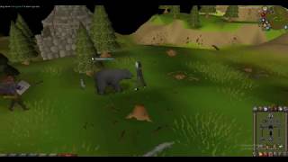 OSRS Woodcutting  Evergreen 53 Road From Scratch To Max Old School Runescape UnoGamez [upl. by Gracie]