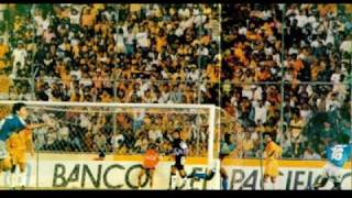 Emelec  Gol de Vidal Pachito 1993 narrado por Petronio Salazar audio [upl. by Aretak]