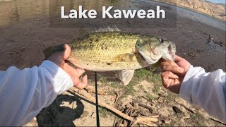 Quick HOOKSET At Lake Kaweah  Bass Fishing [upl. by Ivor]