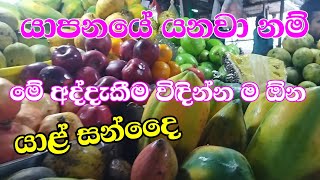 Jaffna Public Fair [upl. by Dyche]