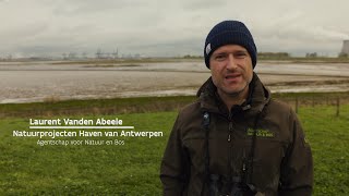 Vis en vogelonderzoek in de Hedwige en Prospergebieden  Natuur en Bos [upl. by Ahsal]