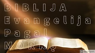 EVANGELIJA PAGAL MORKŲ BIBLIJA [upl. by Annaillil]