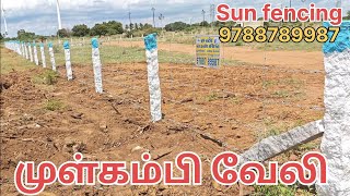 Sun fencing 6ft stone barbed fence முள்வேலி  5×4 barbed installation fencing tirunelveli [upl. by Joachima]