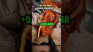 The Best Aura Moments pt 27 edit trolface troll [upl. by Zetrok]