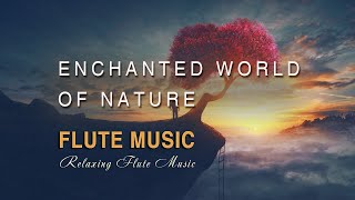 Enchanting flute music  relaxing flute music enchanted world of nature [upl. by Wardle642]