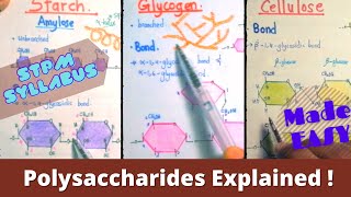 Formation amp Functions of Polysaccharides 12 Carbohydrates STPM Biology Term 1 SRP Biology [upl. by Nilde]