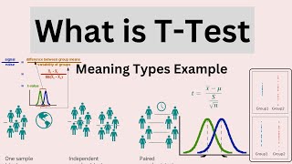 What is T Test  Meaning  Types  Example [upl. by Senecal527]