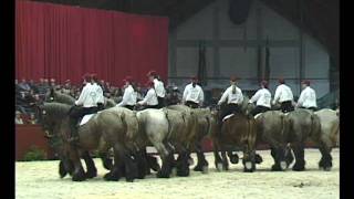 Show De Brabander 2004 [upl. by Susejedairam]