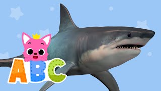 Learn ABCs with Pinkfong Shark Zebra Pig  Wild Animal Names  Pinkfong ABC kids [upl. by Narok]