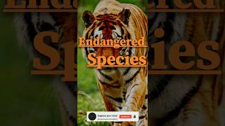 What is Endangered Species Chapter3 geography endangeredspecies class10 viral [upl. by Neenad]