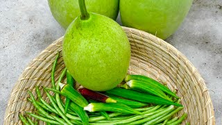 Harvesting Vegetables From My Roof Garden [upl. by Gudrun]