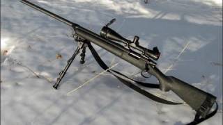 Echo1 M28 Sniper Rifle Review [upl. by Kletter]