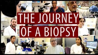 The journey of a biopsy DiscoverPathology [upl. by Serolod]