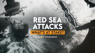 Red Sea attacks Whats at stake  WION Wideangle [upl. by Orpah547]