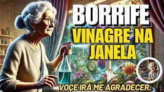 BORRIFE VINAGRE EM SUAS JANELAS VOCÊ VAI AGRADECER 👵🫶 [upl. by Leora]