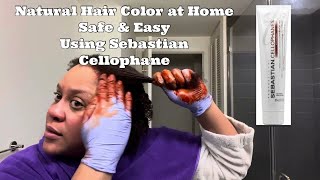 Natural Hair Color at Home with Sebastian Cellophane I WaterBaby Kendra [upl. by Eatnwahs]