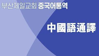 2024 08 08 周四  承认我的遭遇 是我种下的果子 来得悔改的机会吧  箴言12章14节 [upl. by Nnelg]