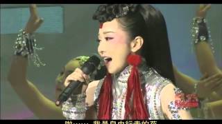 2012年网络春晚 歌曲《自由行走的花》 萨顶顶 CCTV春晚 [upl. by Atikkin741]